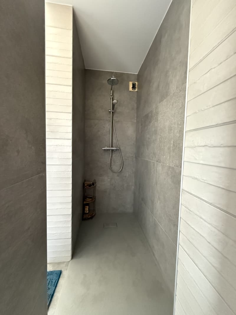 Buschwiller – Bright duplex apartment with terrace, no overlook, green setting (9)