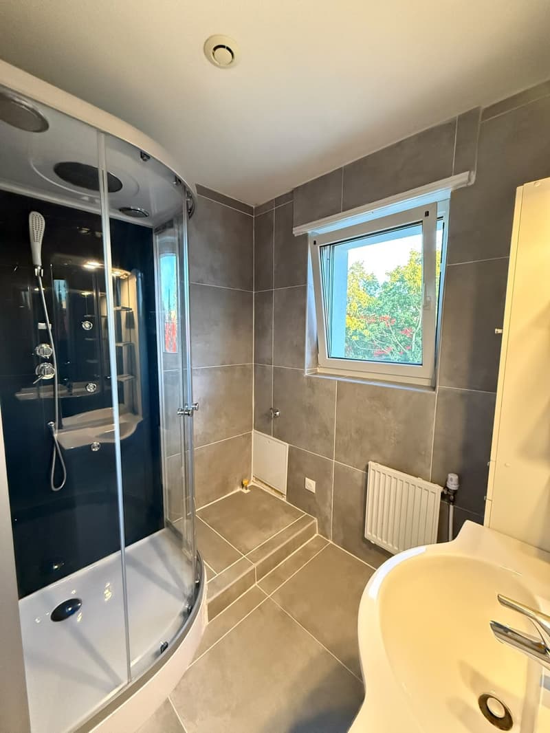* : Furnished detached house 160 m² – 5 bedrooms – Garden – Garages – Saint-Louis (17)