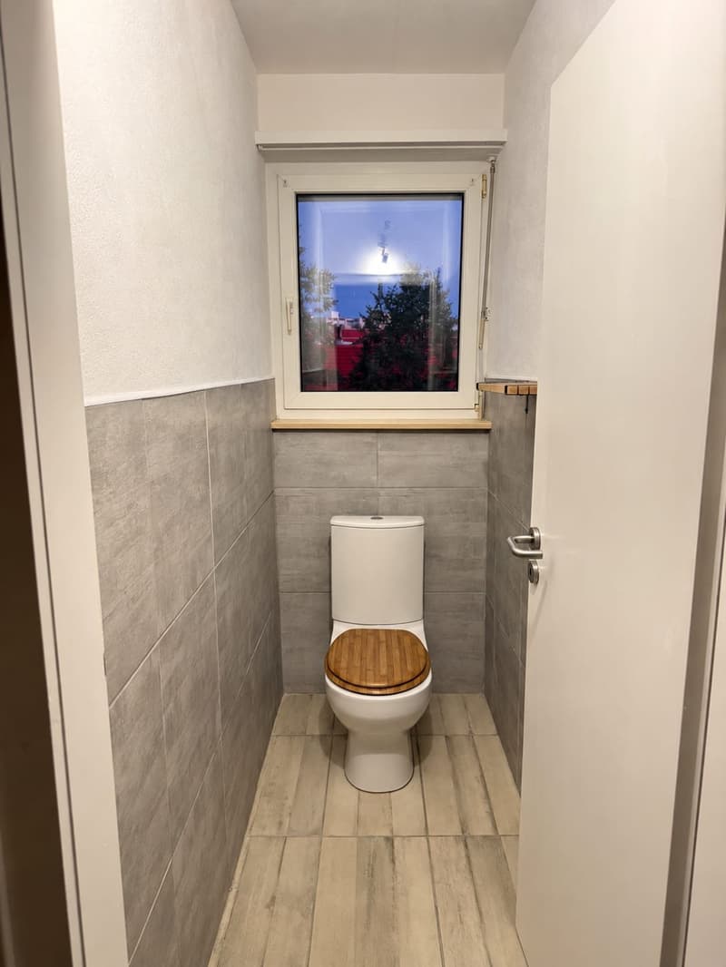 * : Furnished detached house 160 m² – 5 bedrooms – Garden – Garages – Saint-Louis (10)