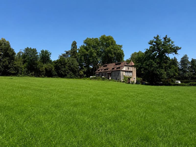 Charming Duplex in a 19th-Century Manor House in Heidwiller (1)