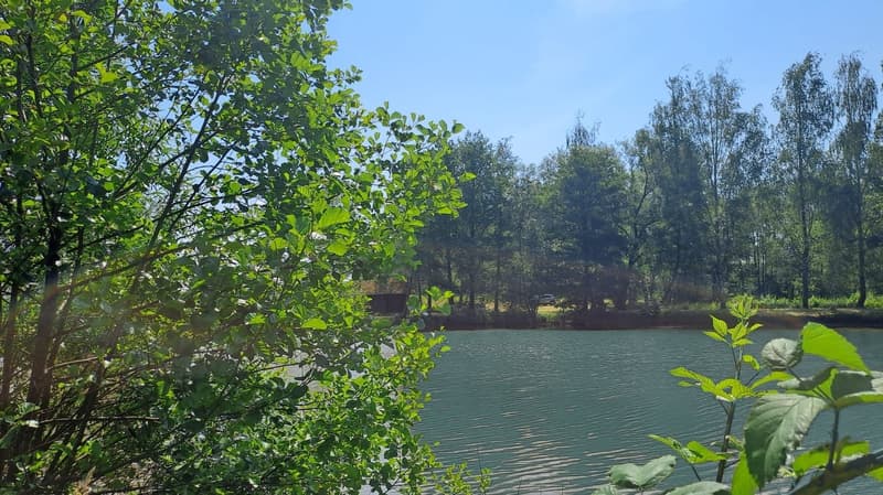 Freizeitgrundstück mit 2 Teichen in Saint-Ulrich (68210) – 10.100 m² (7)