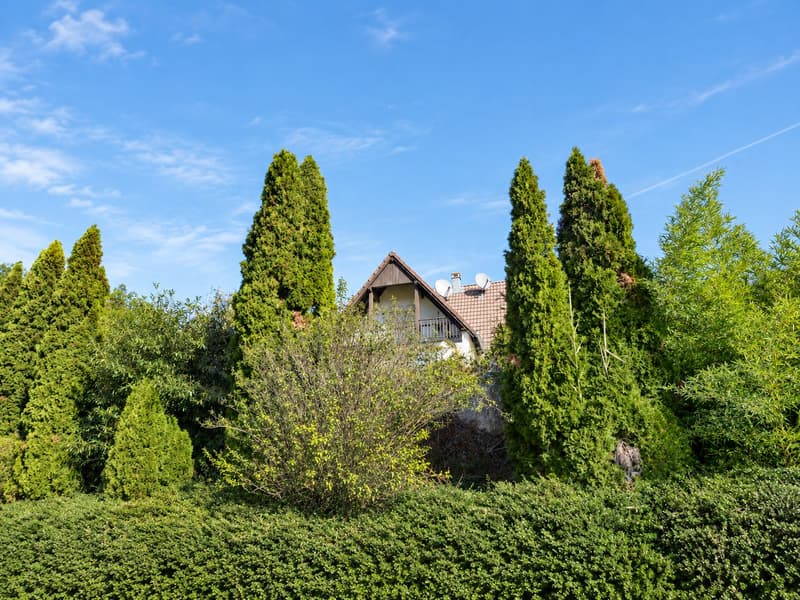 6-Zimmer-Einfamilienhaus in Liebenswiller (33)