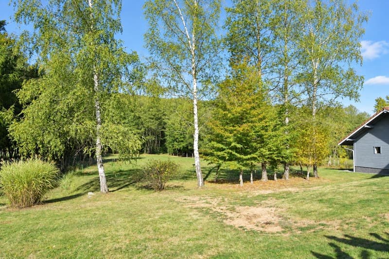 Contemporary 160 m² chalet on 1.56 hectares of land with equestrian facilities (17)