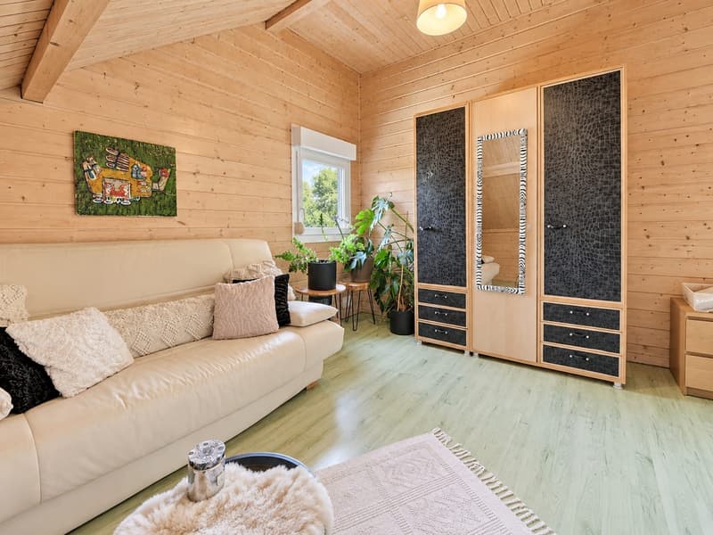Contemporary 160 m² chalet on 1.56 hectares of land with equestrian facilities (28)