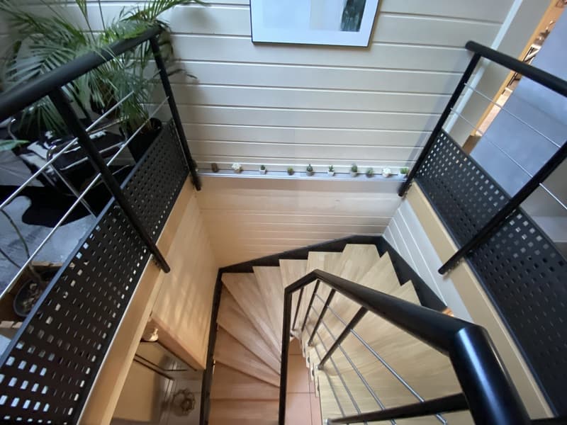 Contemporary 160 m² chalet on 1.56 hectares of land with equestrian facilities (45)