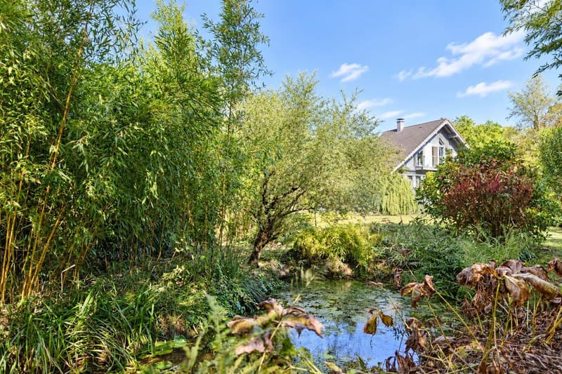 Contemporary 160 m² chalet on 1.56 hectares of land with equestrian facilities (20)