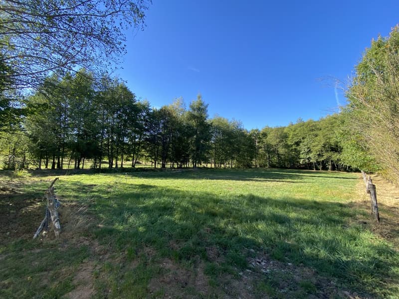 Contemporary 160 m² chalet on 1.56 hectares of land with equestrian facilities (44)