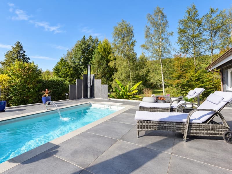 Contemporary 160 m² chalet on 1.56 hectares of land with equestrian facilities (15)