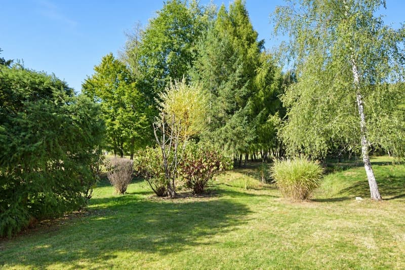 Contemporary 160 m² chalet on 1.56 hectares of land with equestrian facilities (18)