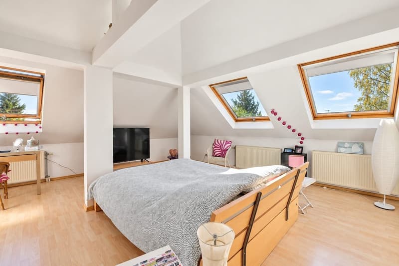 Kembs-Loechlé – Family Home with Swimming Pool and Landscaped 1,098 m² Garden (23)