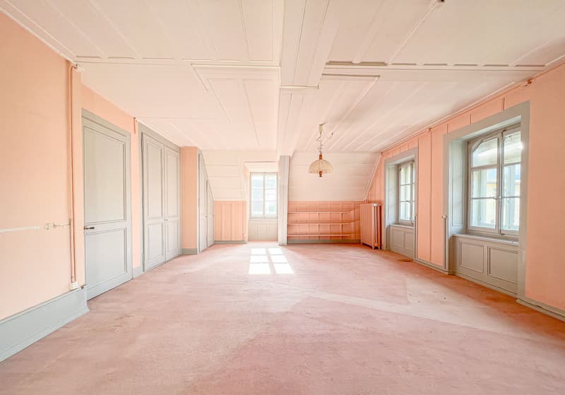 Grand salon lumineux