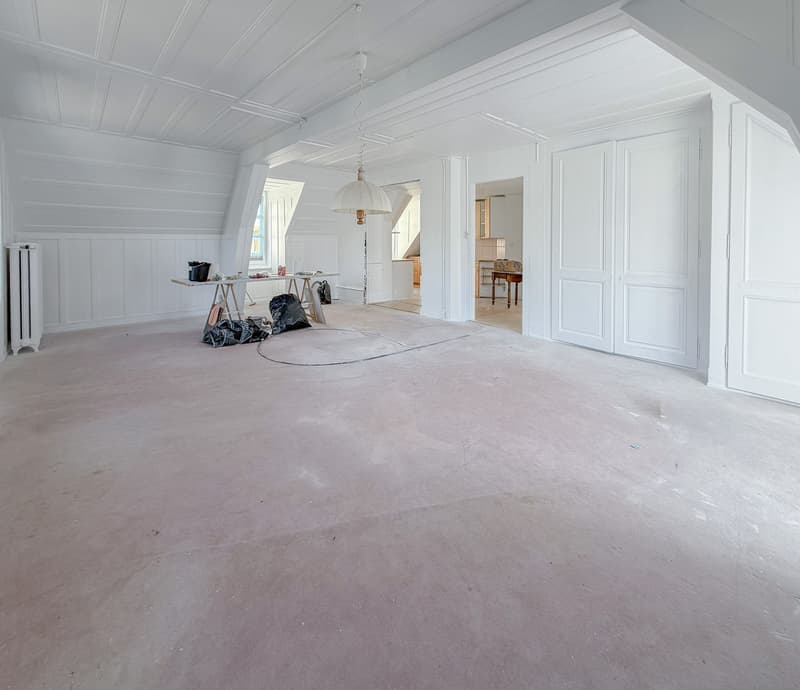 Grand salon lumineux