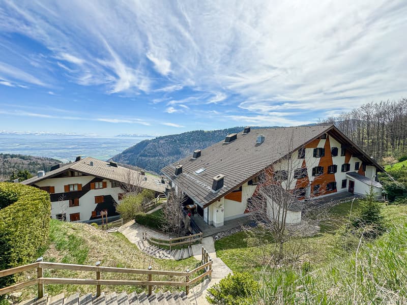 Appartement-duplex de 5.5 pces avec splendide vue sur les Alpes (12)