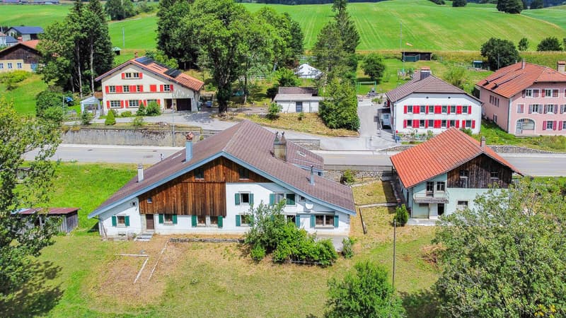 Neuchâtel farm to renovate with barn and adjacent house (1)