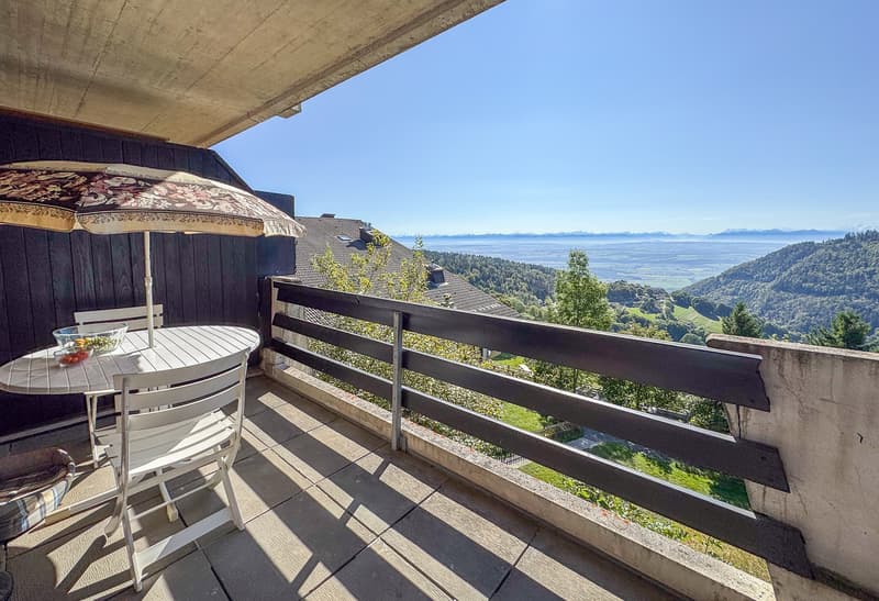 Balcon exposé Sud au 1er niveau