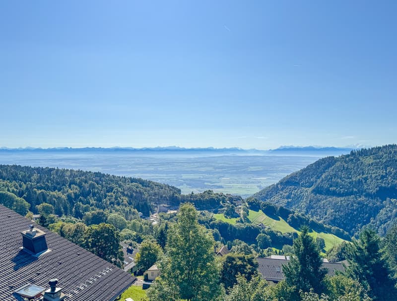 Duplex PPE di 4,5 locali con 2 balconi a piano terra - splendida vista (2)