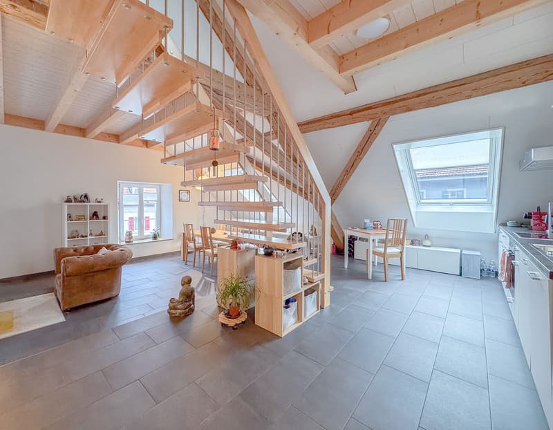 Magnificent 4.5-room duplex PPE, Southeast exposure (1)