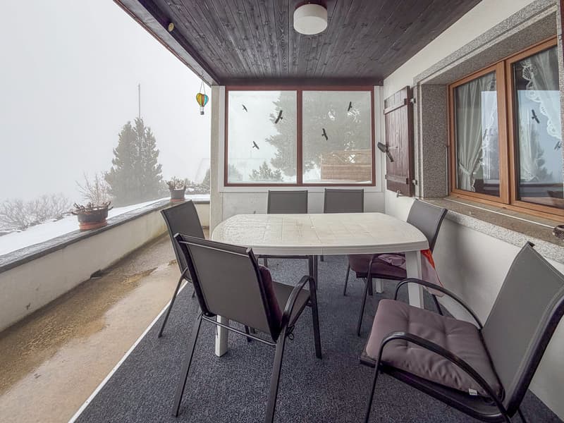 Rez-de-chaussée - Terrasse couverte exposée Sud