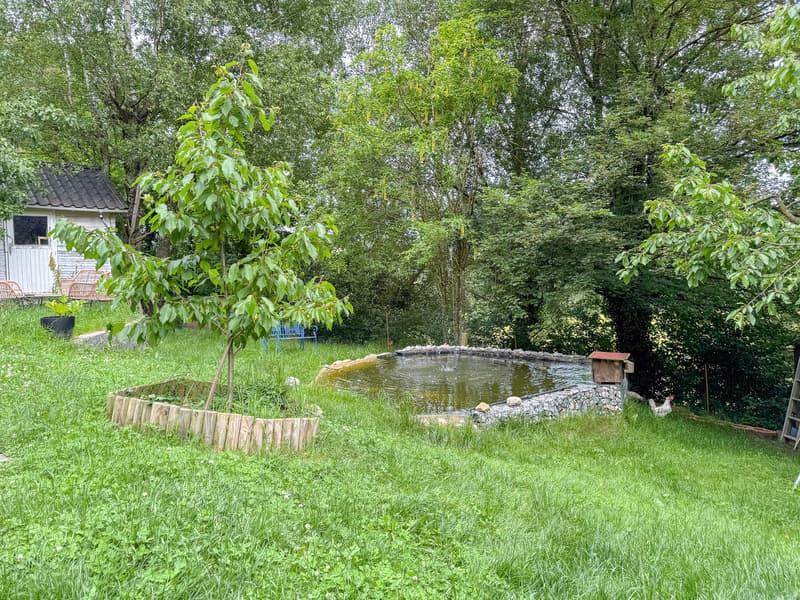 Etang