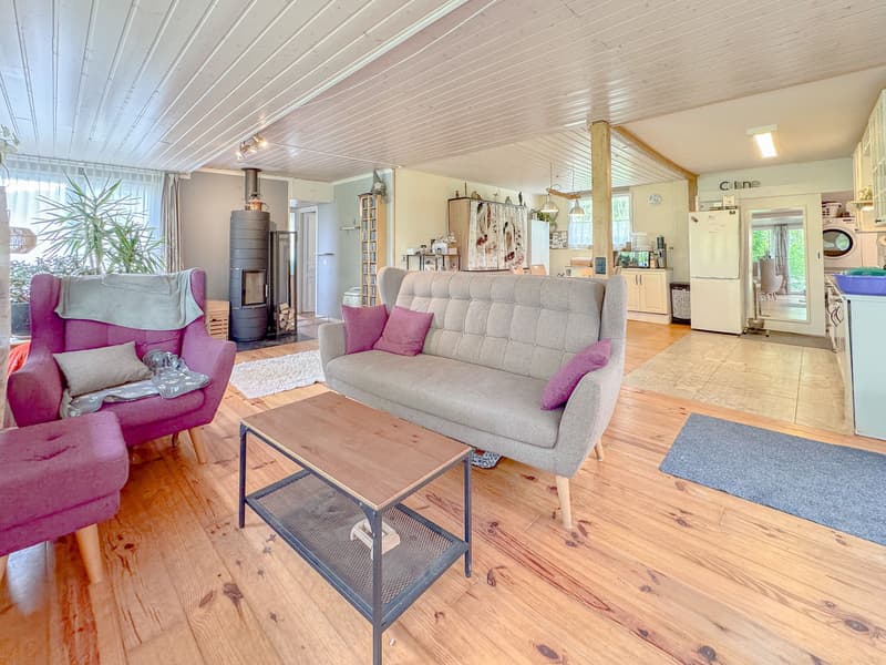 Espace salon avec poêle à bois