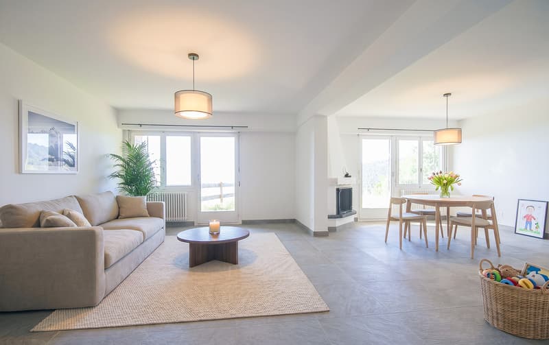 Magnificent 5.5-room duplex completely renovated - splendid view (1)