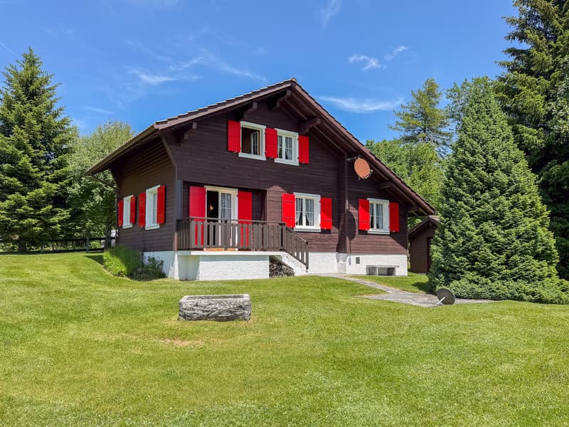Vue sur le chalet