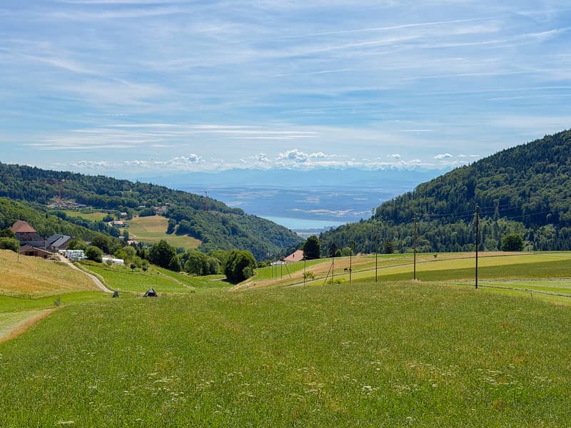 Vue depuis le salon