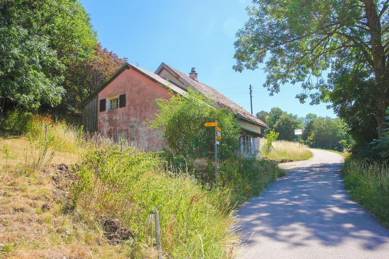 Vue sur la maison