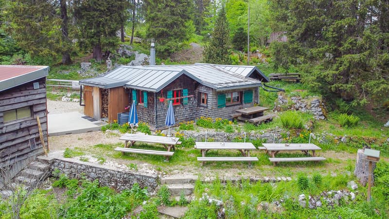 Buvette d'alpage au coeur de la nature (1)