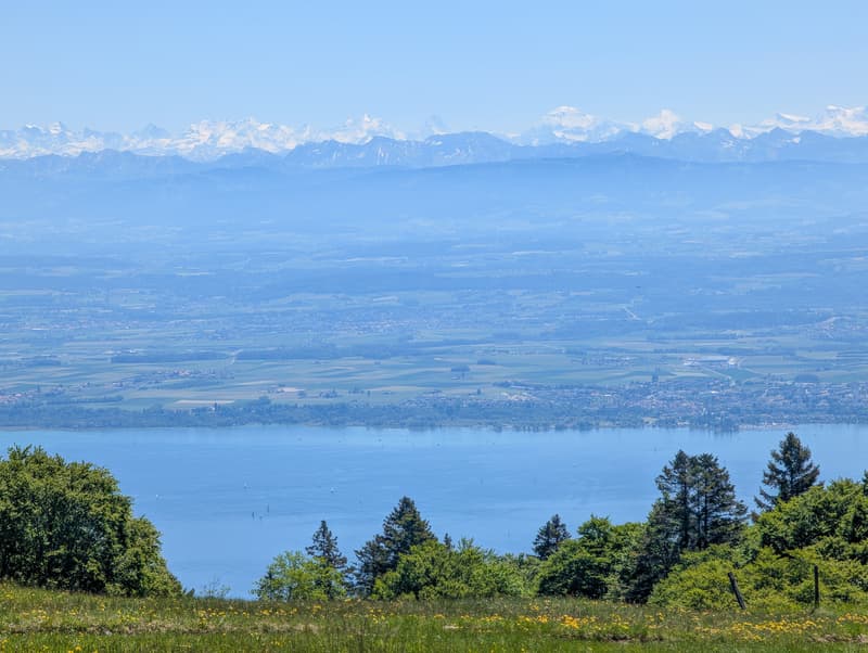 Vue sur les Alpes et le lac de Neuchâtel