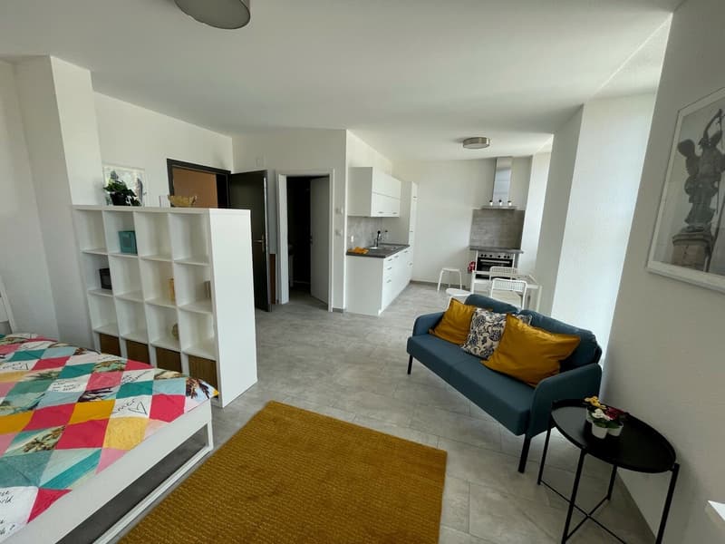 Studio meublé - 311