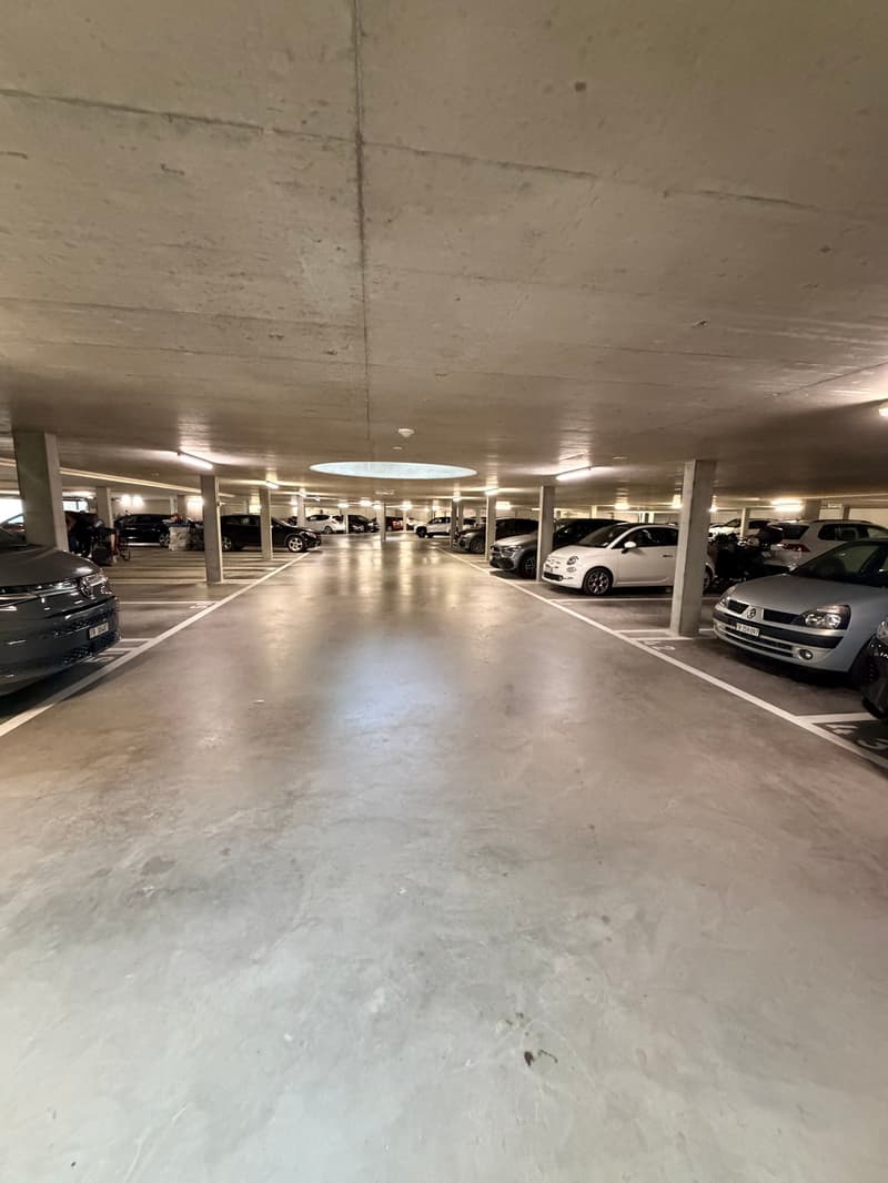 Wohnung 3.5 Zimmer in Fétigny (22)