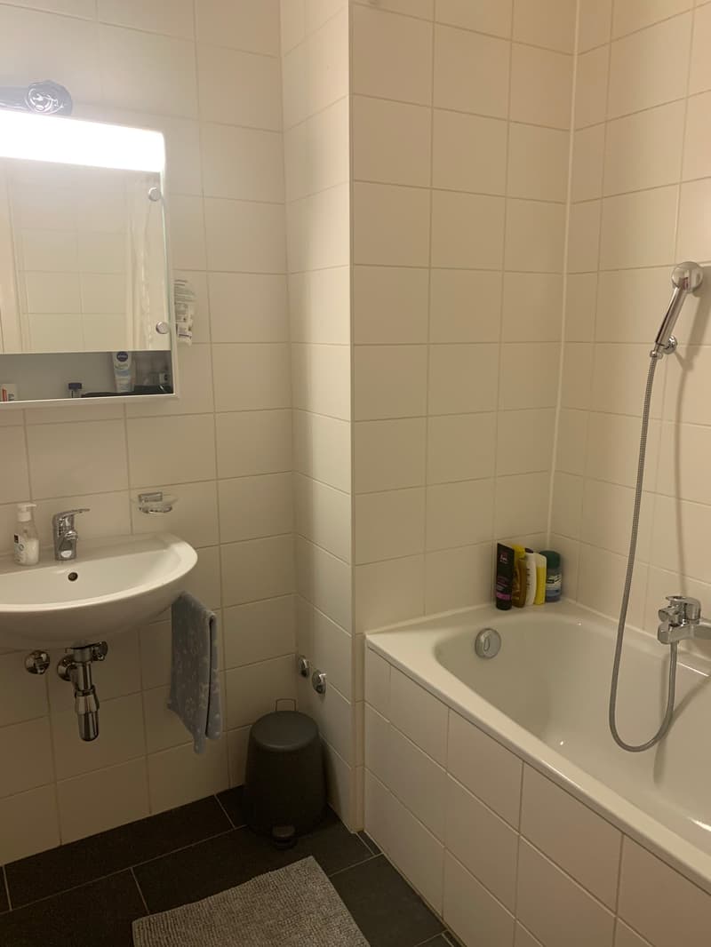 RUE DES PAQUIS - Appartement de 5 pièces au 2ème étage (9)
