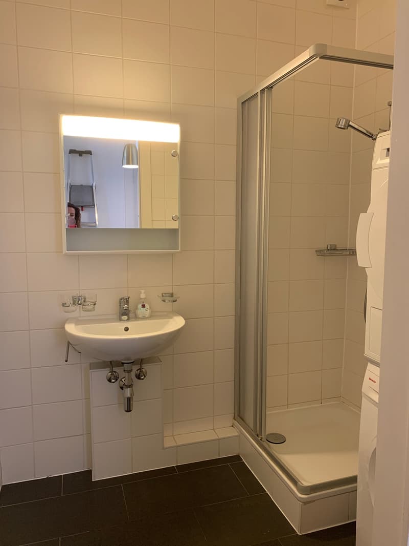 RUE DES PAQUIS - Appartement de 5 pièces au 2ème étage (3)