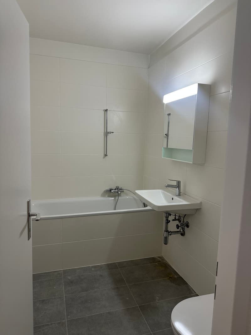 Appartement de 2,5 pièces rénové à Genève – Av. De-Luserna (4)