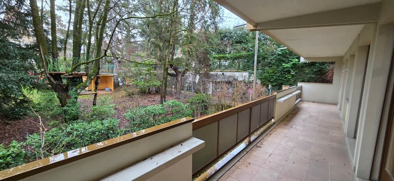 Four-room apartment with terrace in Clos Belmont (2)