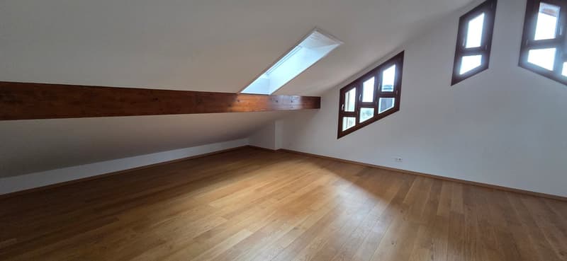 Superbo e unico appartamento duplex in attico a Bernex (9)