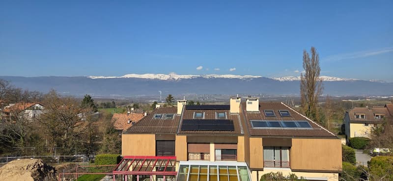Superbo e unico appartamento duplex in attico a Bernex (1)