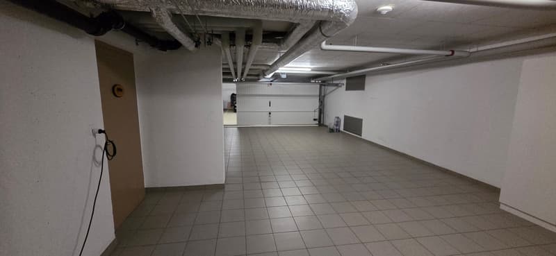 Superbo e unico appartamento duplex in attico a Bernex (14)