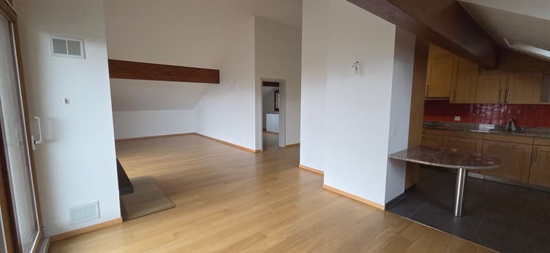Superbo e unico appartamento duplex in attico a Bernex (6)