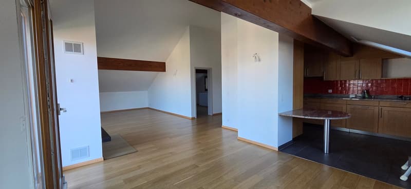 Superbo e unico appartamento duplex in attico a Bernex (5)