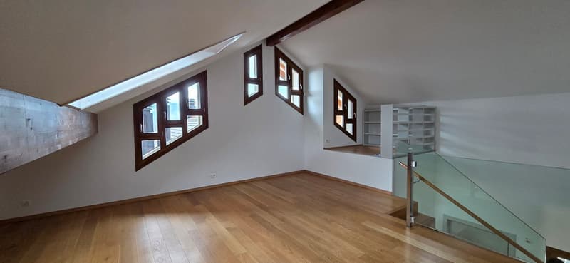 Superbo e unico appartamento duplex in attico a Bernex (11)