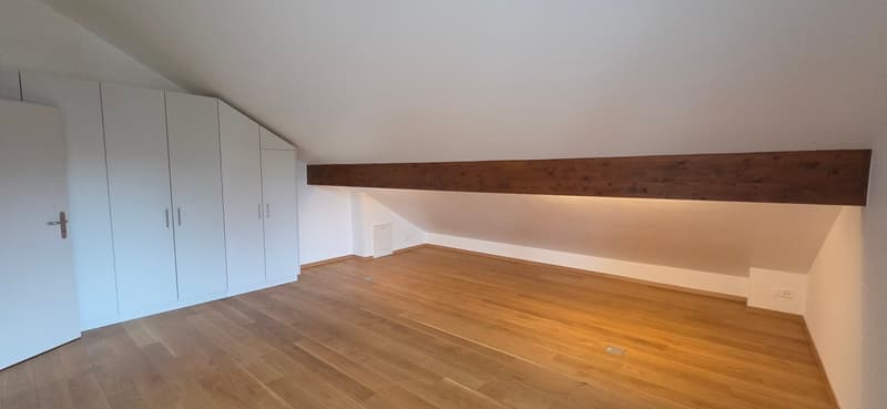 Superbo e unico appartamento duplex in attico a Bernex (7)