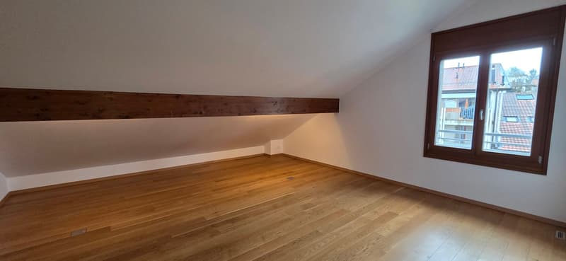 Superbo e unico appartamento duplex in attico a Bernex (8)