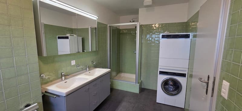 Superbo e unico appartamento duplex in attico a Bernex (13)