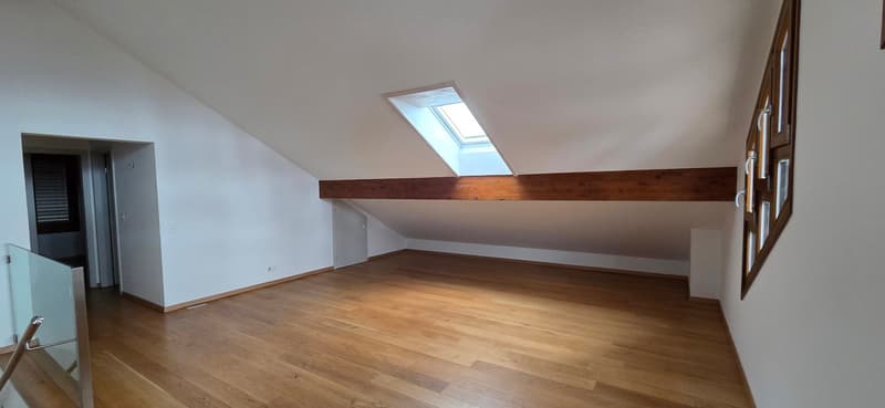 Superbo e unico appartamento duplex in attico a Bernex (10)