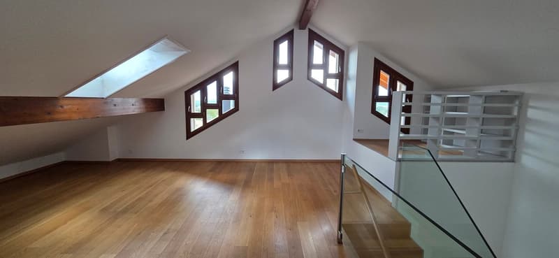 Superbe appartement en attique de 7.5 pièces à Bernex (14)