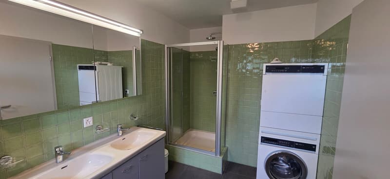 Superbe appartement en attique de 7.5 pièces à Bernex (9)