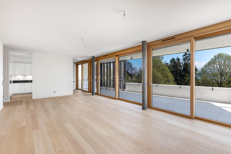 Attic apartment of approximately 170m2 PPE with large rooftop terrace (6)
