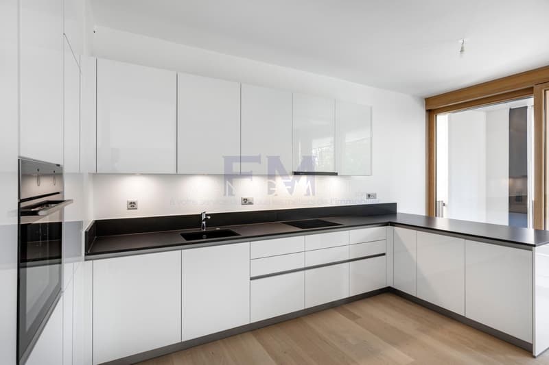 Attic apartment of approximately 170m2 PPE with large rooftop terrace (5)